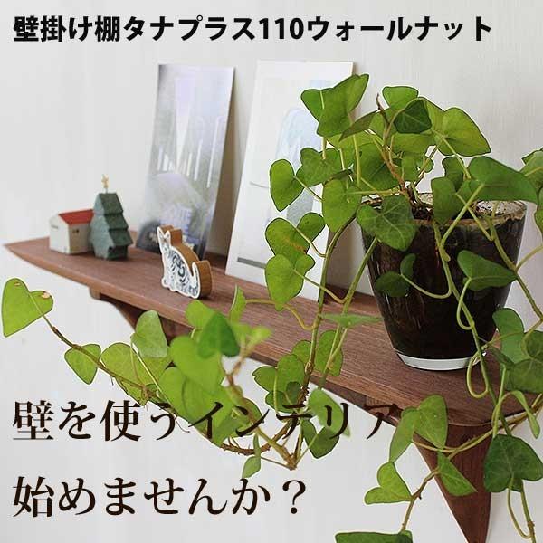 壁掛け インテリア おしゃれ 石膏ボード壁ＯＫ タナプラス110ウォールナット マンション 賃貸 安...