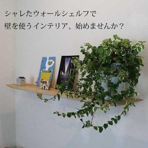 ハートの壁掛け・置き型兼用シェルフ W500×D85×H300mm RSE-19 ハート