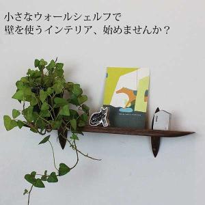 2段壁掛け棚ツイン 送料無料 石膏ボードも板壁もOK！耐荷重9kg 天然木