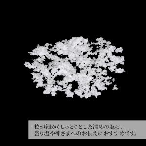 盛り塩 1kg しっとりしてきれいに作れる 大...の詳細画像2