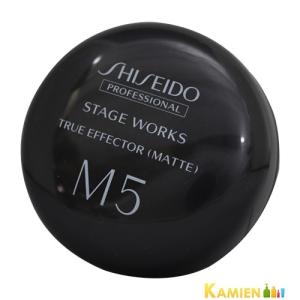 STAGE WORKS 資生堂プロフェッショナル トゥルーエフェクター S3