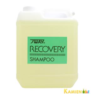 ニューウェイジャパン パイウェイ エコパイシャンプー 5000ml 業務用