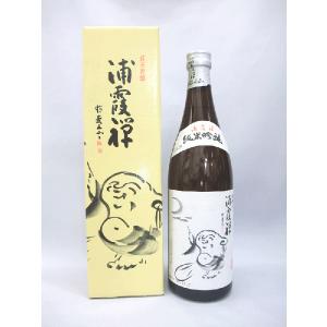 浦霞 禅 純米吟醸 720ml 日本酒（箱入）（2022年）｜kamigataichiba