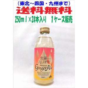 送料無料 生姜丸しぼり わかやまジンジャーエール  250ｍｌ瓶×24本入り １ケース 炭酸飲料｜kamigataichiba