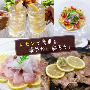 レモン 苗木 瀬戸内レモン(広島レモン) [小...の詳細画像4