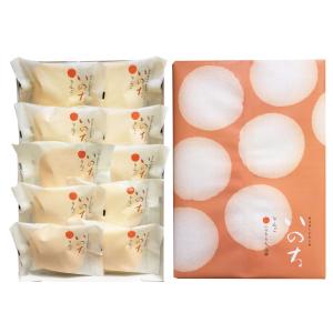 ラグノオ いのち りんご 10個入