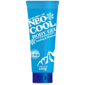ボディーソープ 極涼 アイスボディシャンプー 1000ml 大容量 クール