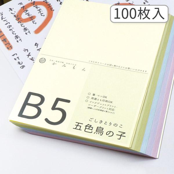 かみもん 和紙のコピー用紙 B5サイズ 五色鳥の子紙 100枚入り 5色×20枚 25.7×18.2...