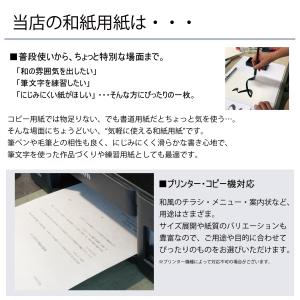 かみもん 御朱印書き置き向け和紙 Mサイズ 白...の詳細画像5