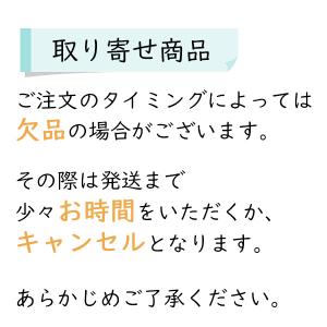 芸艸堂 木版画 笠松紫浪「sk14 東京タワー...の詳細画像2