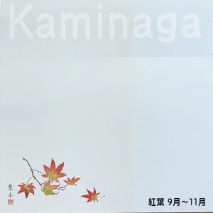 華シリーズテーブルマット 秋・冬 上質紙 10...の詳細画像2