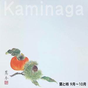 華シリーズテーブルマット 秋・冬 上質紙 10...の詳細画像3