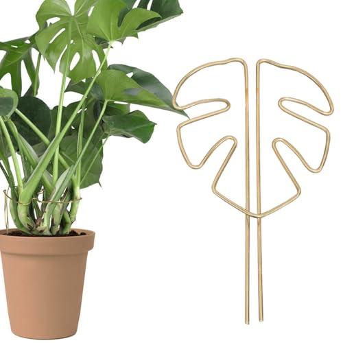 BOOHUQICH 支柱 観葉植物 支柱 ガーデニング 園芸 長期間使用 ひろがる フラワーガード ...