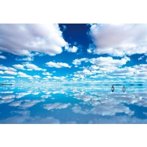 日本製 ビバリー 1000ピース ジグソーパズル ウユニ塩湖 49*72* 1000-054