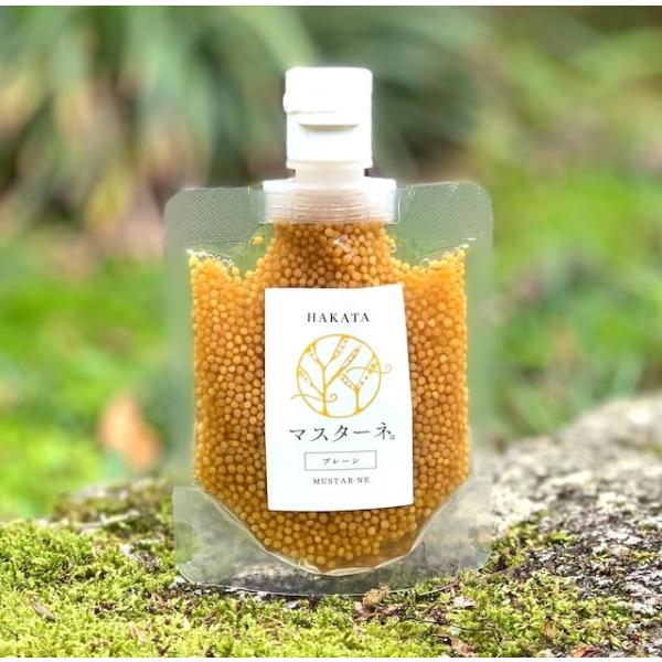 南の風 マスターネ。プレーン120ｇパウチ