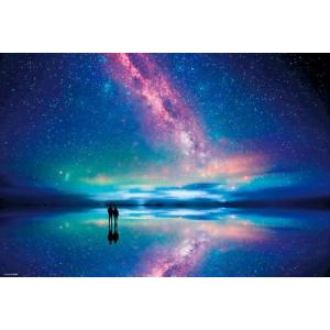 日本製 ビバリー 1000ピース ジグソーパズル 星空のウユニ塩湖 49*72 1000-082