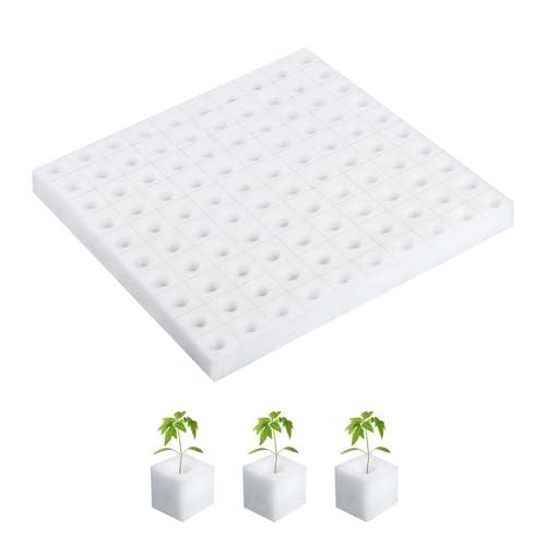 水耕栽培 スポンジ すいこう栽培 スポンジ 水耕栽培スポンジ 葉菜用培地 スポンジ 土壌なし 便利性...