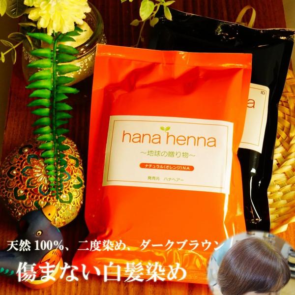 ヘナ ハナヘナ hana henna ナチュラル＆インディゴ 100g 二度染めセット ダークブラウ...
