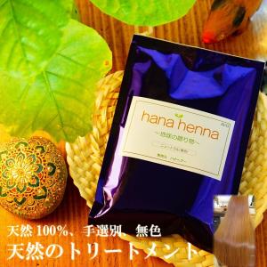 ヘナ ハナヘナ hana henna インディゴ 100g 2個送料お得セット