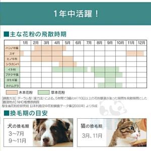 即納 空気清浄機 6重空気清浄 35畳対応 花...の詳細画像2