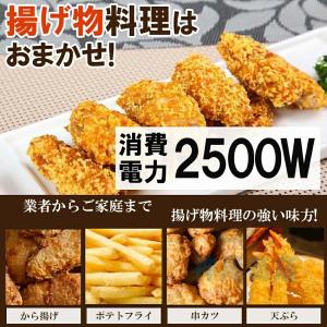 フライヤー 家庭用/業務用 電気フライヤー 揚...の詳細画像1