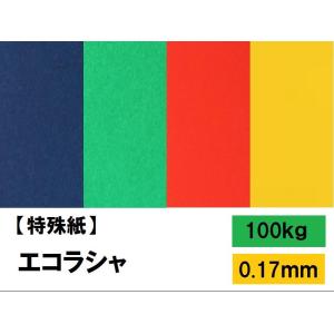 エコラシャ 100kg(0.17mm) 選べる４サイズ(A3 A4 B4 B5) ファンシーペーパー カラーペーパー｜kamiolshop