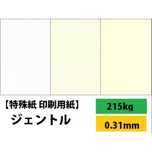 ジェントル 215kg(0.31mm) 選べる4サイズ(A3 A4 B4 B5) 特殊紙 ファンシー...