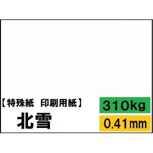 ケント紙 北雪CoC（旧：北雪） 265kg(0.34mm) 選べる4サイズ(A3 A4 B4
