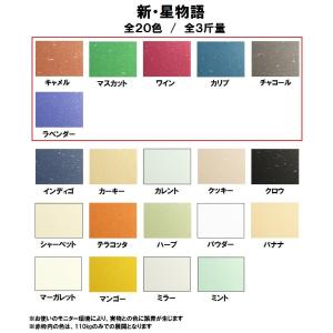 新・星物語 110kg(0.16mm) 選べる...の詳細画像1