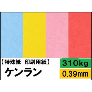 ケンラン 310kg(0.39mm) 選べる4サイズ(A3 A4 B4 B5) (カラーペーパー ケント紙)｜kamiolshop