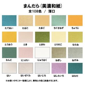 美濃和紙 まんだら 薄口(0.12mm) 選べ...の詳細画像3