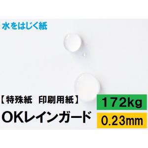 レイン！+ガード加工 OKレインガード 110kg(0.12mm) 選べる4サイズ(A3 A4 B4 B5) (撥水紙 水