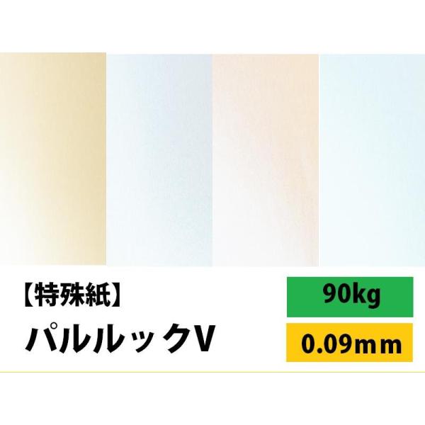 パルルックV 90kg(0.09mm) 選べる4サイズ(A3 A4 B4 B5) ファンシーペーパー