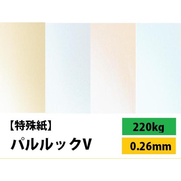 パルルックV 220kg(0.26mm) 選べる4サイズ(A3 A4 B4 B5) ファンシーペーパ...