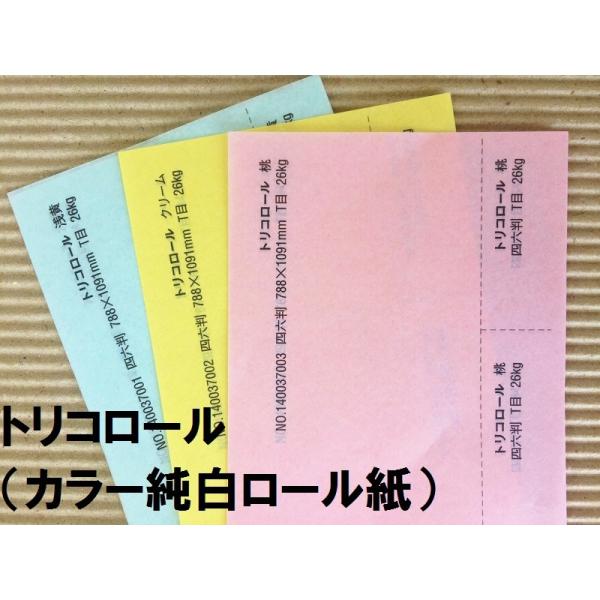 トリコロール 34.5kg(0.06mm) 選べる3色,4サイズ(A3 A4 B4 B5) (ファン...
