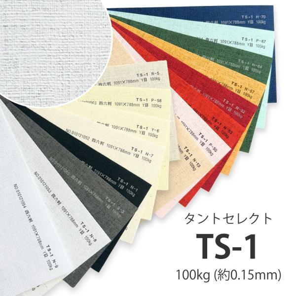 TS-1(タントセレクト-1) 130kg(0.23mm) 選べる6色 4サイズ(A3 A4 B4 ...