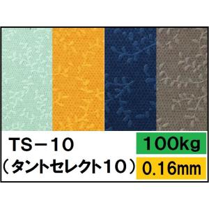 TS-10(タントセレクト-10) 100kg(0.16mm) 選べる3色,4サイズ(A3 A4 B...