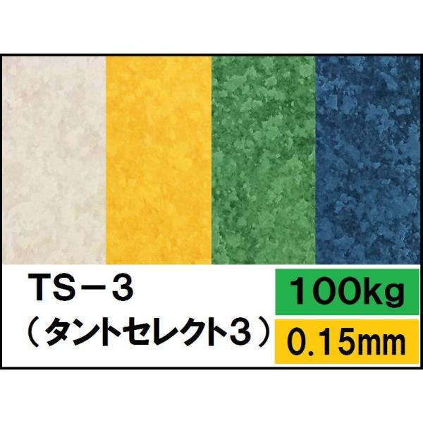 TS-3(タントセレクト-3) 100kg(0.15mm) 選べる16色 4サイズ(A3 A4 B4...