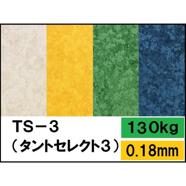 TS-3(タントセレクト-3) 130kg(0.23mm) 選べる6色 4サイズ(A3 A4 B4 ...