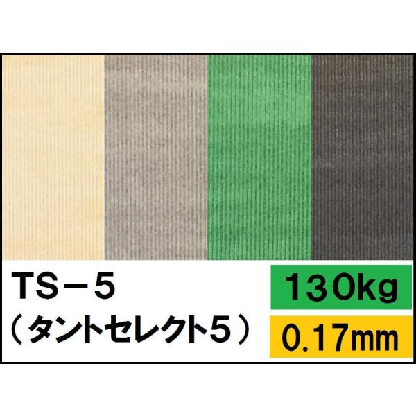 TS-5(タントセレクト-5) 130kg(0.23mm) 4サイズ