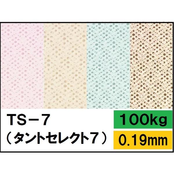 TS-7(タントセレクト-7) 100kg(0.15mm) 選べる3色 4サイズ(A3 A4 B4 ...