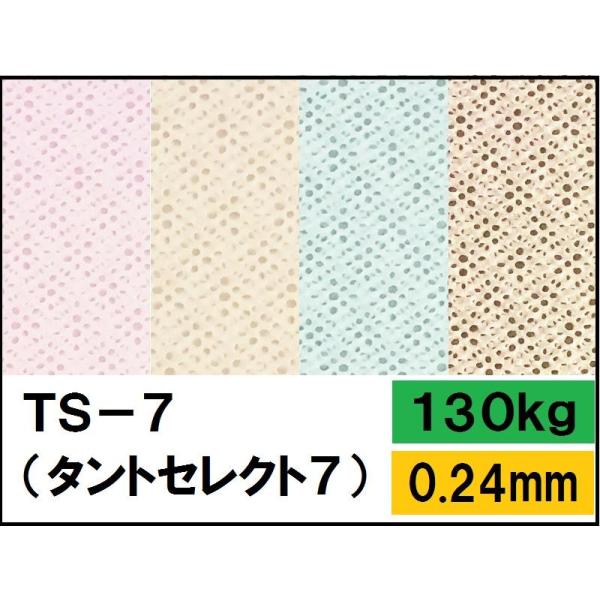 TS-7(タントセレクト-7) 130kg(0.23mm) 4サイズ(A3 A4 B4 B5) (フ...