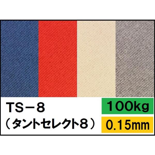 TS-8(タントセレクト8) 100kg(0.15mm) 選べる3色 4サイズ(A3 A4 B4 B...