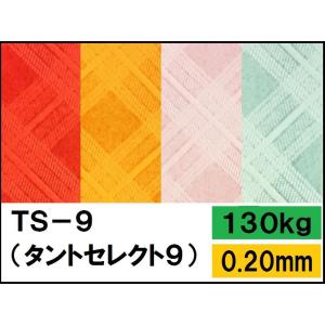 TS-9(タントセレクト9) 100kg(0.15mm) 選べる16色 4サイズ(A3 A4 B4 B5