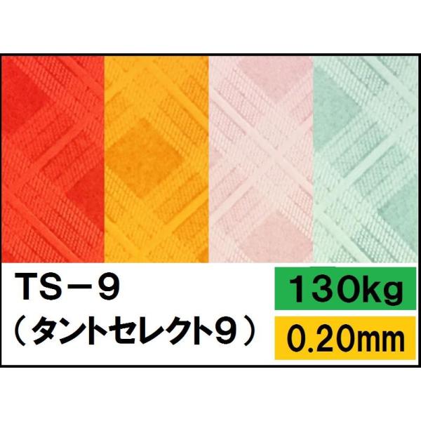 TS-9(タントセレクト9) 130kg(0.20mm) 4サイズ(A3 A4 B4 B5) (ファ...