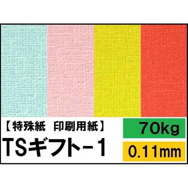 TS-ギフト1 70kg(0.11mm) 選べる12色,4サイズ(A3 A4 B4 B5) (ファン...