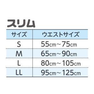 大人用紙おむつ リフレ はくパンツスリムタイプ...の詳細画像5