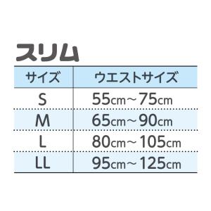 大人用紙おむつ リフレ はくパンツスリムタイプ...の詳細画像5