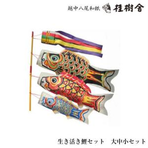 セール中 桂樹舎 鯉のぼり こいのぼり 越中八尾 和紙 八尾町 おわら 桂樹舎 室内用 鯉のぼりセット 大中小セット 069 日本の心がこもる越中