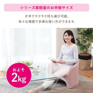 ローチェア カルラ LSGT-イリス 明光ホー...の詳細画像3